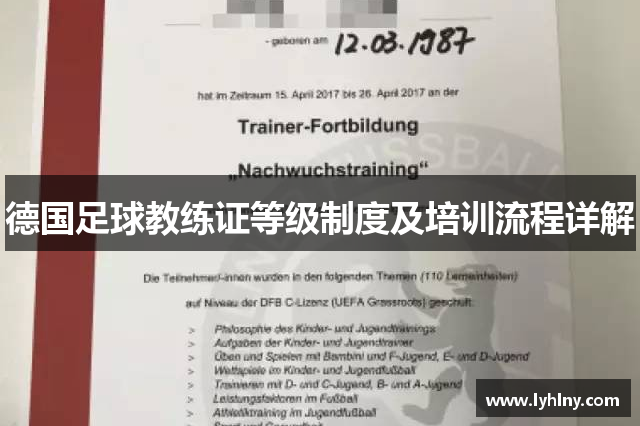德国足球教练证等级制度及培训流程详解